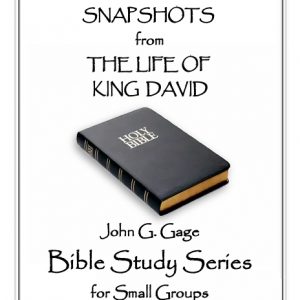 Small Group Bible Study - Snapshots from The Life of King David
