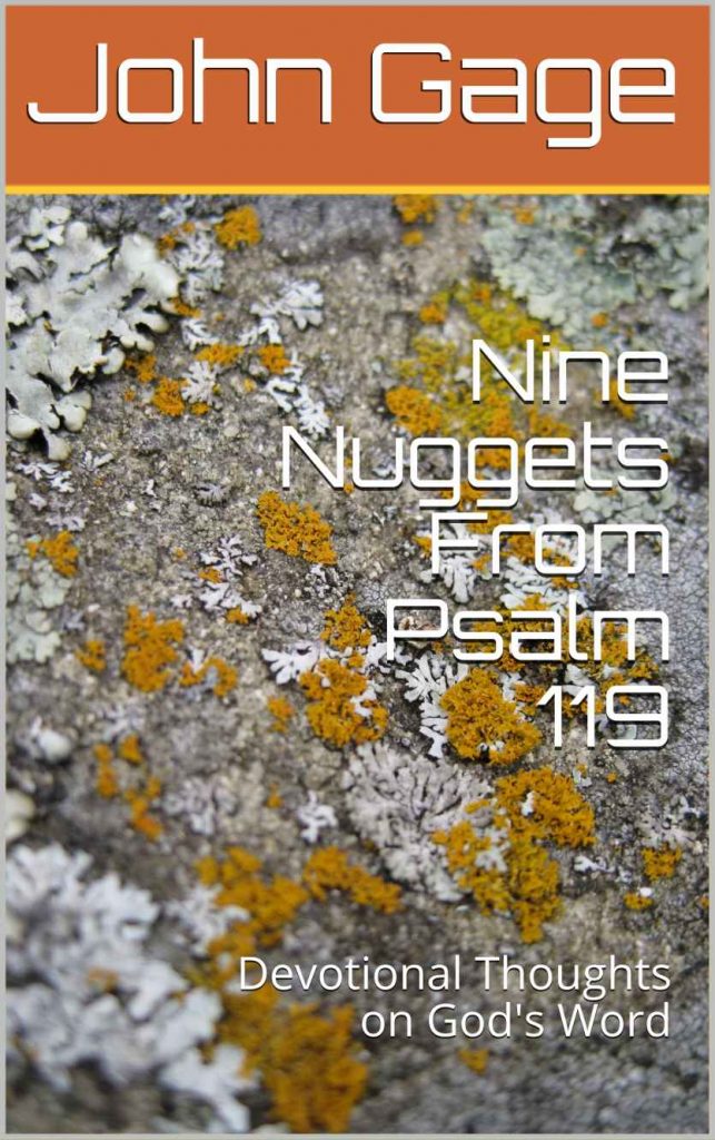 Nine Nuggets From Psalm 119